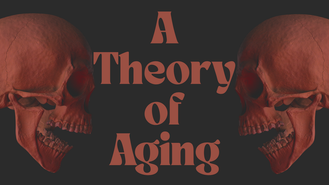 A Theory of Aging