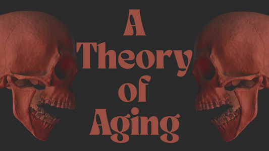 A Theory of Aging