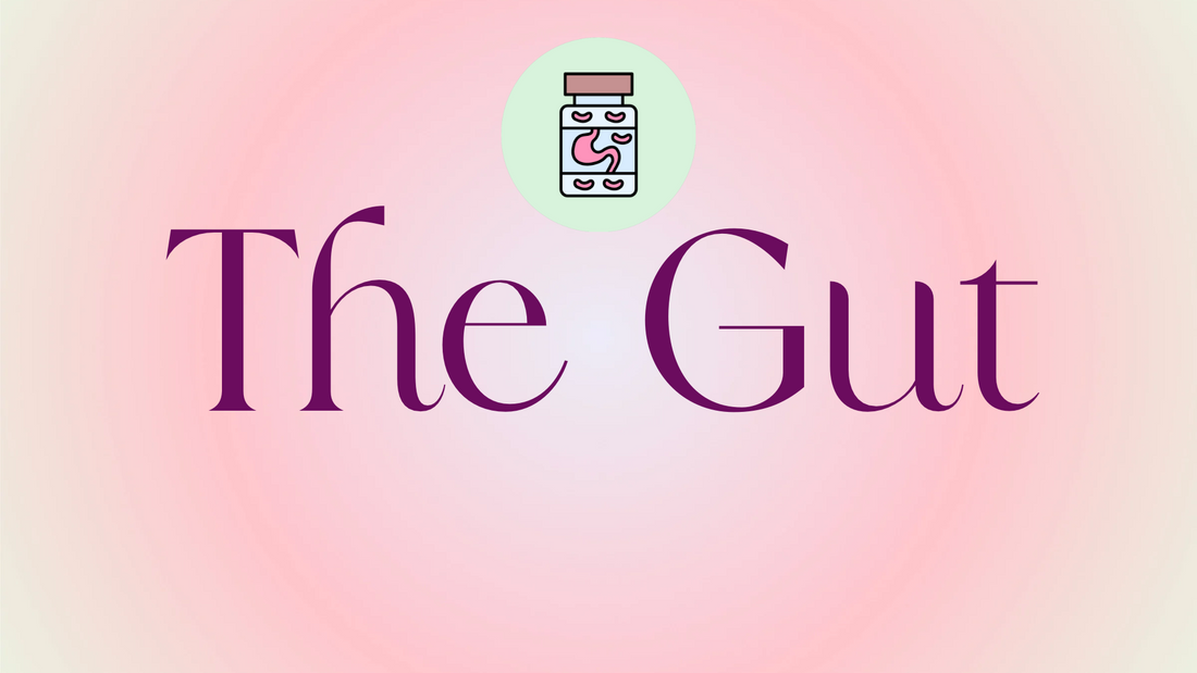 The Gut