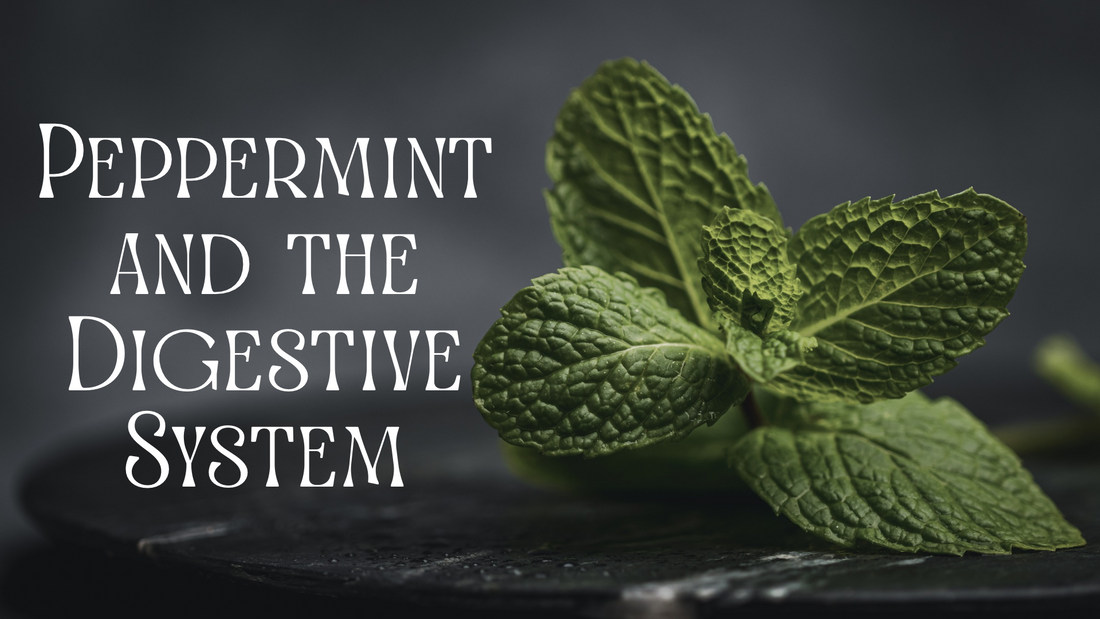 Peppermint and the Digestive System