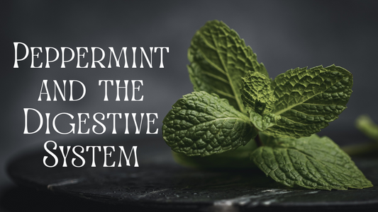 Peppermint and the Digestive System